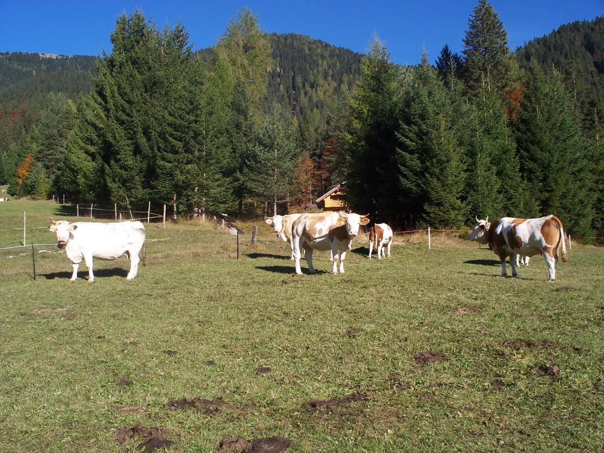 Chalet Rauna Villa Malborghetto-Valbruna Esterno foto